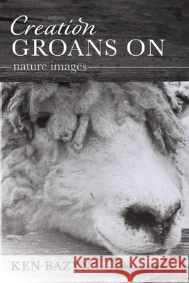 Creation Groans On Ken Bazyn 9781725294639 Resource Publications (CA) - książka