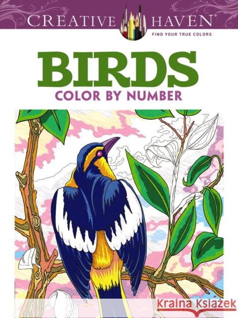Creative Haven Birds Color by Number Coloring Book George Toufexis 9780486798578 Dover Publications - książka