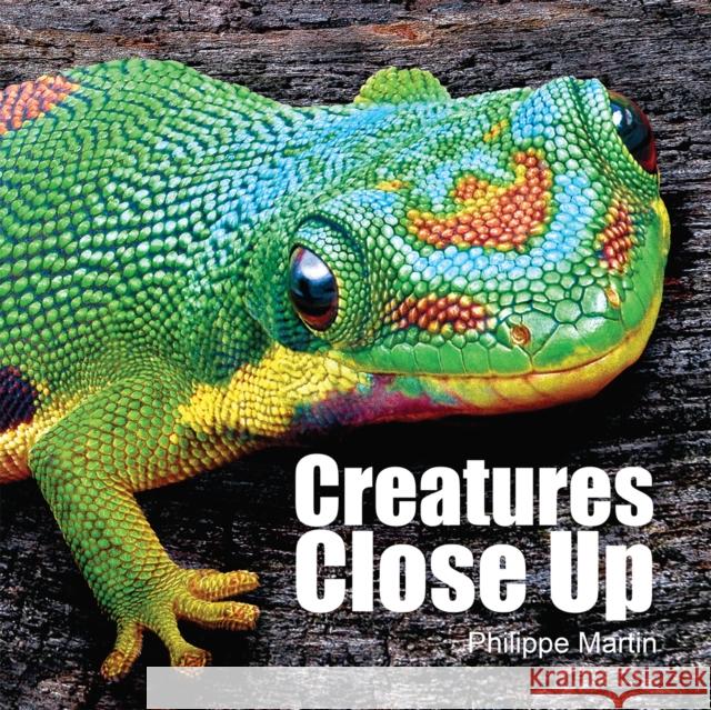 Creatures Close Up Gillian Watts Philippe Martin 9781770857827 Firefly Books - książka
