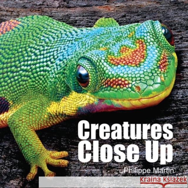 Creatures Close Up Gillian Watts Philippe Martin 9781770857834 Firefly Books - książka