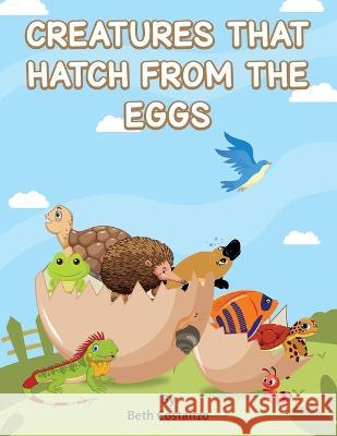 Creatures That Hatch from Eggs Beth Costanzo   9781087959511 Adventures of Scuba Jack - książka