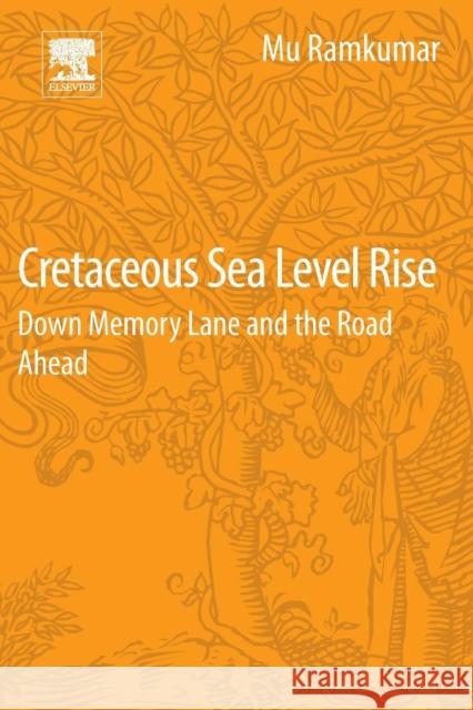 Cretaceous Sea Level Rise: Down Memory Lane and the Road Ahead Ramkumar, Mu   9780128054147 Elsevier Science - książka