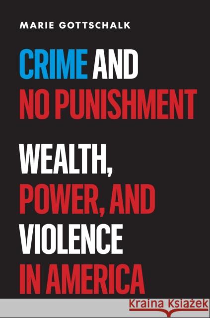 Crime and No Punishment: Wealth, Power, and Violence in America Marie Gottschalk 9780691275253 Princeton University Press - książka
