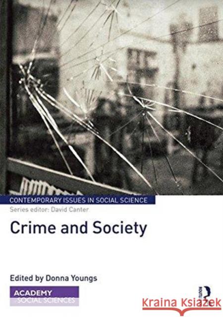 Crime and Society Donna Youngs 9780815382881 Routledge - książka