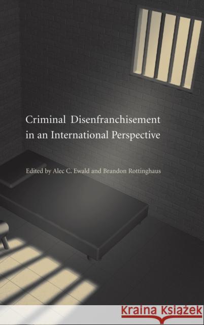 Criminal Disenfranchisement in an International Perspective Alec Ewald Brandon Rottinghaus 9780521875615 Cambridge University Press - książka