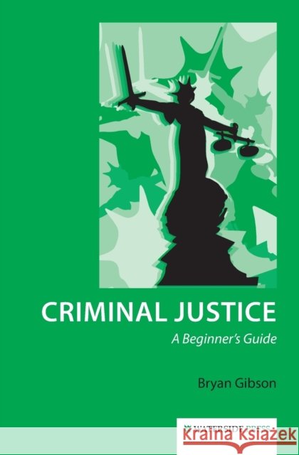 Criminal Justice: A Beginner's Guide Bryan Gibson 9781909976009 Waterside Press - książka