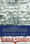Crimsoc 5: Pathologising Youth Development and Risk Alina Hayes Alina Haines Elizabeth Perkins 9781530670857 Createspace Independent Publishing Platform