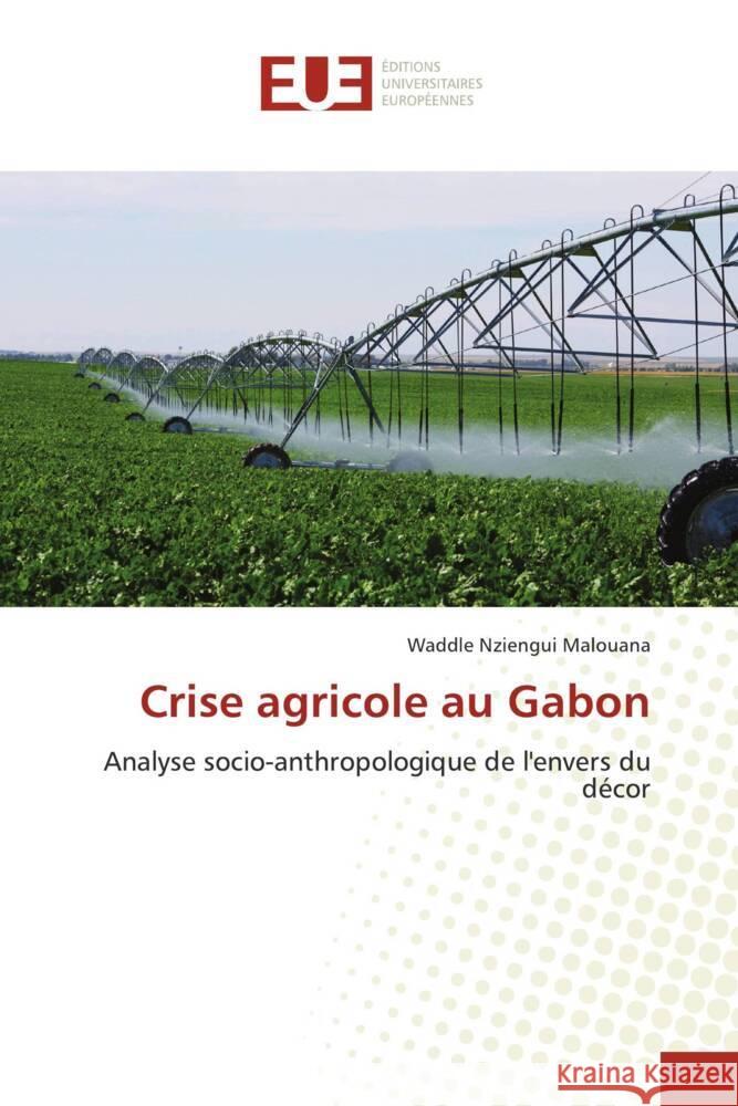 Crise agricole au Gabon Nziengui Malouana, Waddle 9786206694700 Éditions universitaires européennes - książka