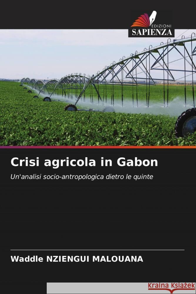 Crisi agricola in Gabon Waddle Nziengu 9786206547037 Edizioni Sapienza - książka