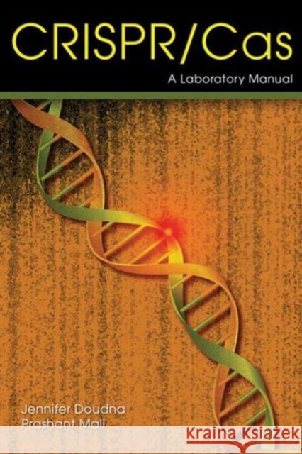 Crispr-Cas: A Laboratory Manual Jennifer Doudna Prashant Mali 9781621821311 Cold Spring Harbor Laboratory Press - książka