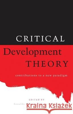 Critical Development Theory  9781856496377 Zed Books Ltd - książka