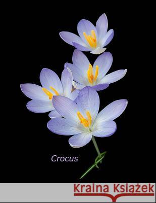 Crocus R. M. Palmer 9781976271038 Createspace Independent Publishing Platform - książka