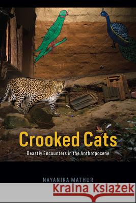 Crooked Cats: Beastly Encounters in the Anthropocene Nayanika Mathur 9780226771922 The University of Chicago Press - książka