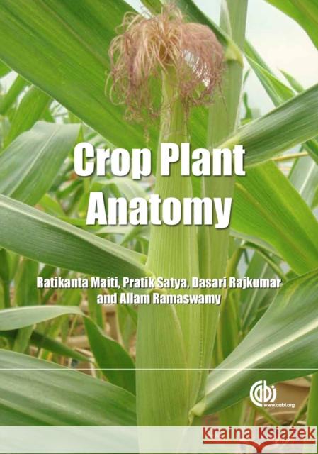 Crop Plant Anatomy R B Maiti 9781780640198  - książka