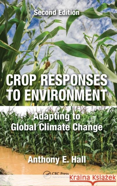 Crop Responses to Environment: Adapting to Global Climate Change, Second Edition A. E. Hall 9781138506381 CRC Press - książka