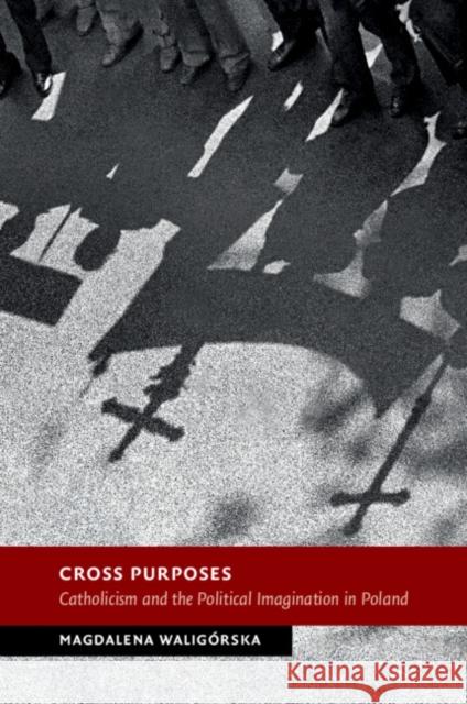 Cross Purposes Magdalena (Humboldt-Universitat zu Berlin) Waligorska 9781009230971 Cambridge University Press - książka