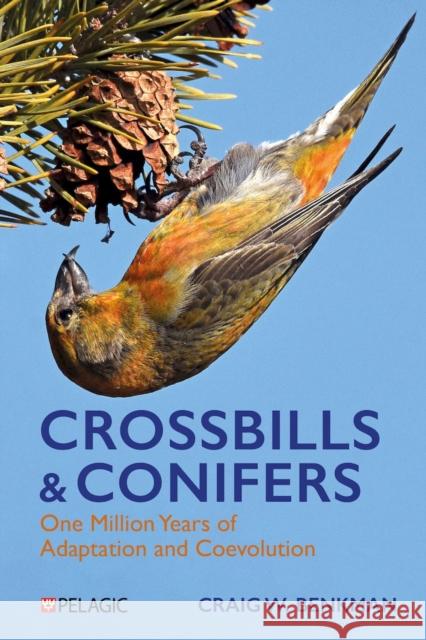 Crossbills and Conifers: One Million Years of Adaptation and Coevolution Craig Benkman 9781784275525 Pelagic Publishing Ltd - książka