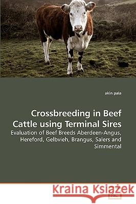 Crossbreeding in Beef Cattle using Terminal Sires Pala, Akin 9783639235241 VDM Verlag - książka