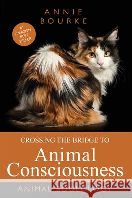 Crossing the Bridge to Animal Consciousness: Animal Soulology Annie Bourke 9781923197602 Putting Words - książka