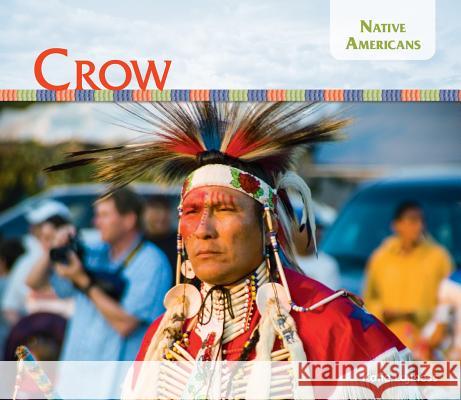 Crow Katie Lajiness 9781532115073 Big Buddy Books - książka