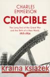 Crucible: The Long End of the Great War and the Birth of a New World, 1917-1924 Charles Emmerson 9781847923967 Vintage Publishing