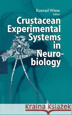 Crustacean Experimental Systems in Neurobiology Jurgen Jost Konrad Wiese K. Wiese 9783540438090 Springer - książka