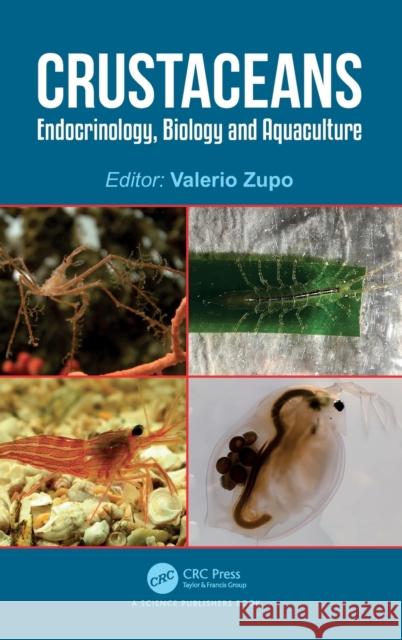 Crustaceans: Endocrinology, Biology and Aquaculture Zupo, Valerio 9780367420703 Taylor & Francis Ltd - książka