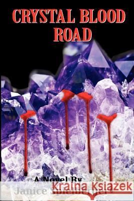 Crystal Blood Road MS Janice Spielberger MS Donna M. Taddeo 9781466421905 Createspace - książka