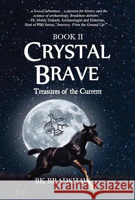 Crystal Brave: Treasures of the Current B K Bradshaw   9781942905028 Goldminds Publishing - książka