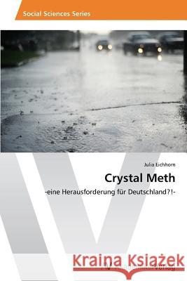 Crystal Meth Eichhorn Julia 9783639679854 AV Akademikerverlag - książka