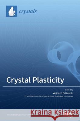 Crystal Plasticity Wojciech Polkowski 9783036508382 Mdpi AG - książka