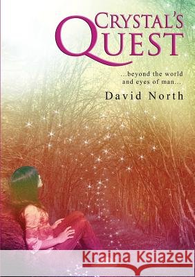 Crystal's Quest David North 9781291493634 Lulu Press Inc - książka