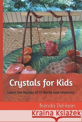 Crystals for Kids: Learn the Names of 17 Rocks and Minerals Brenda DeHaan 9781655066535 Independently Published - książka