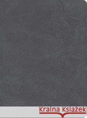 CSB He Reads Truth Bible, Smoke Leathertouch Csb Bibles by Holman                     He Reads Truth                           Raechel Myers 9781087766096 Holman Bibles - książka