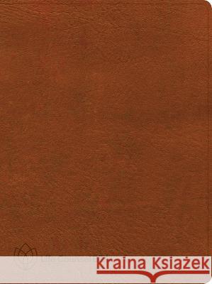 CSB Life Counsel Bible, Burnt Sienna LeatherTouch CSB Bibles by Holman 9781087785578 LifeWay Christian Resources - książka