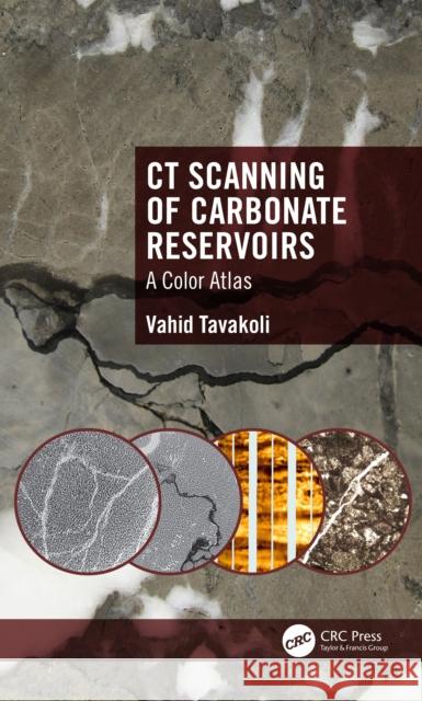 CT Scanning of Carbonate Reservoirs: A Color Atlas Vahid (University of Tehran) Tavakoli 9781032521411 CRC Press - książka
