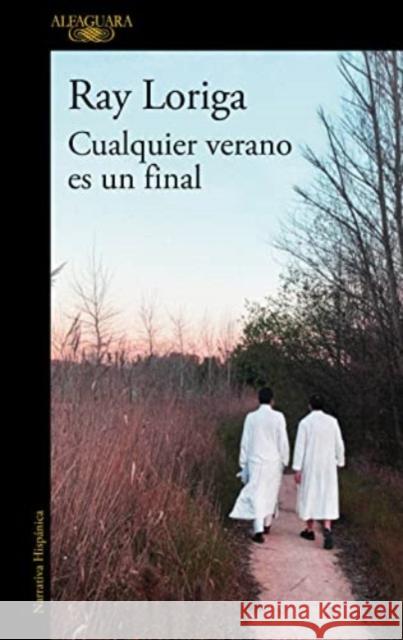 Cualquier verano es un final / Any Summer Is an Ending Ray Loriga 9788420456539 Alfaguara - książka