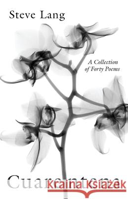 Cuarentena Steve Lang 9781666716580 Resource Publications (CA) - książka