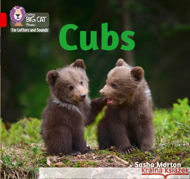 Cubs: Band 02a/Red a Sasha Morton 9780008230210 HarperCollins Publishers - książka