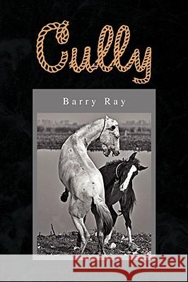 Cully Barry Ray 9781436347594 XLIBRIS CORPORATION - książka