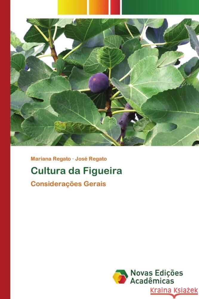 Cultura da Figueira Regato, Mariana, Regato, José 9786205503638 Novas Edições Acadêmicas - książka