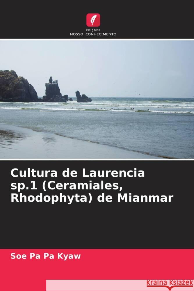 Cultura de Laurencia sp.1 (Ceramiales, Rhodophyta) de Mianmar Kyaw, Soe Pa Pa 9786205034934 Edições Nosso Conhecimento - książka