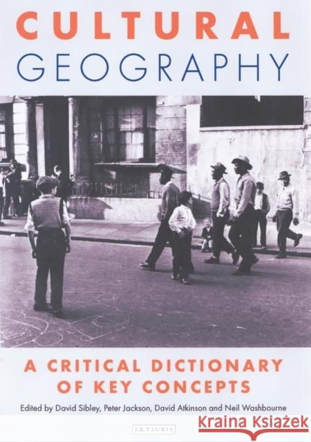 Cultural Geography : A Critical Dictionary of Key Ideas David Atkinson 9781860647024  - książka