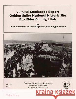 Cultural Landscape Report: Golden Spike National Historic Site Box Elder County, Utah Carla Homstad Janene Caywood Peggy Nelson 9781484890905 Createspace - książka