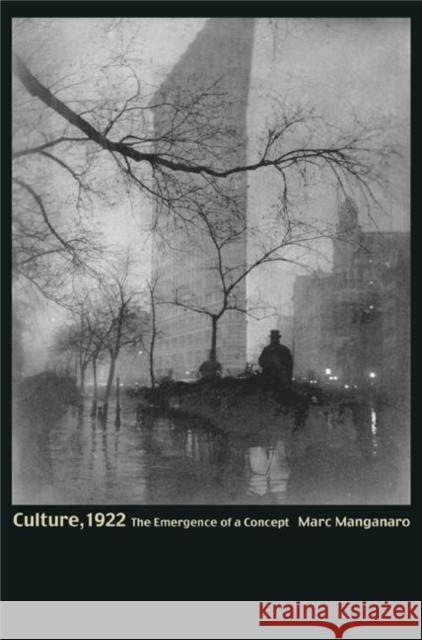 Culture, 1922: The Emergence of a Concept Manganaro, Marc 9780691001371 Princeton University Press - książka