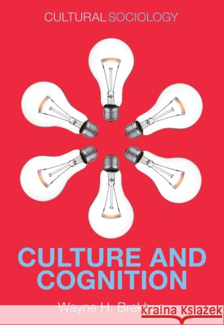 Culture and Cognition: Patterns in the Social Construction of Reality Brekhus, Wayne H. 9780745671765 John Wiley & Sons - książka