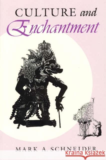 Culture and Enchantment Mark A. Schneider 9780226739281 University of Chicago Press - książka