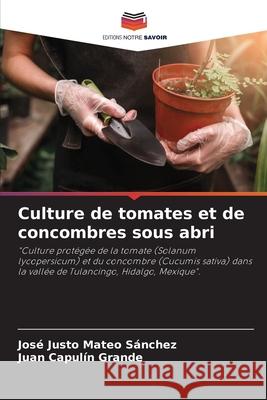 Culture de tomates et de concombres sous abri Mateo Sánchez, José Justo, Capulín Grande, Juan 9786206815358 Editions Notre Savoir - książka