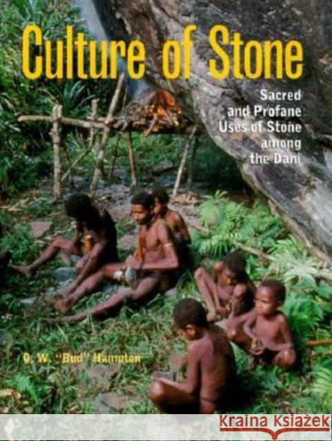 Culture of Stone: Sacred and Profane Uses of Stone Among the Dani Hampton, O. W. Bud 9780890968703 Texas A&M University Press - książka