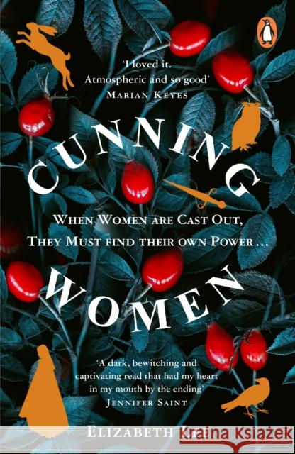 Cunning Women: A feminist tale of forbidden love after the witch trials Elizabeth Lee 9781529156805 Cornerstone - książka